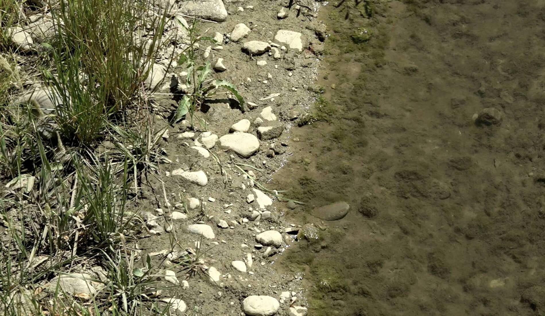 Sécheresse: la crainte d'un été meurtrier pour les cours d'eau genevois