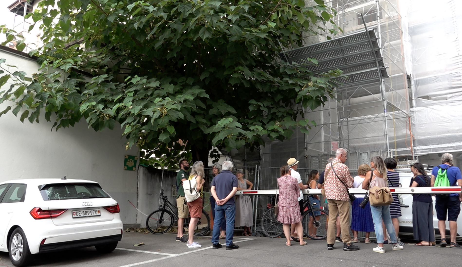 La mobilisation des habitants suspend l'abattage d'un arbre aux Pâquis