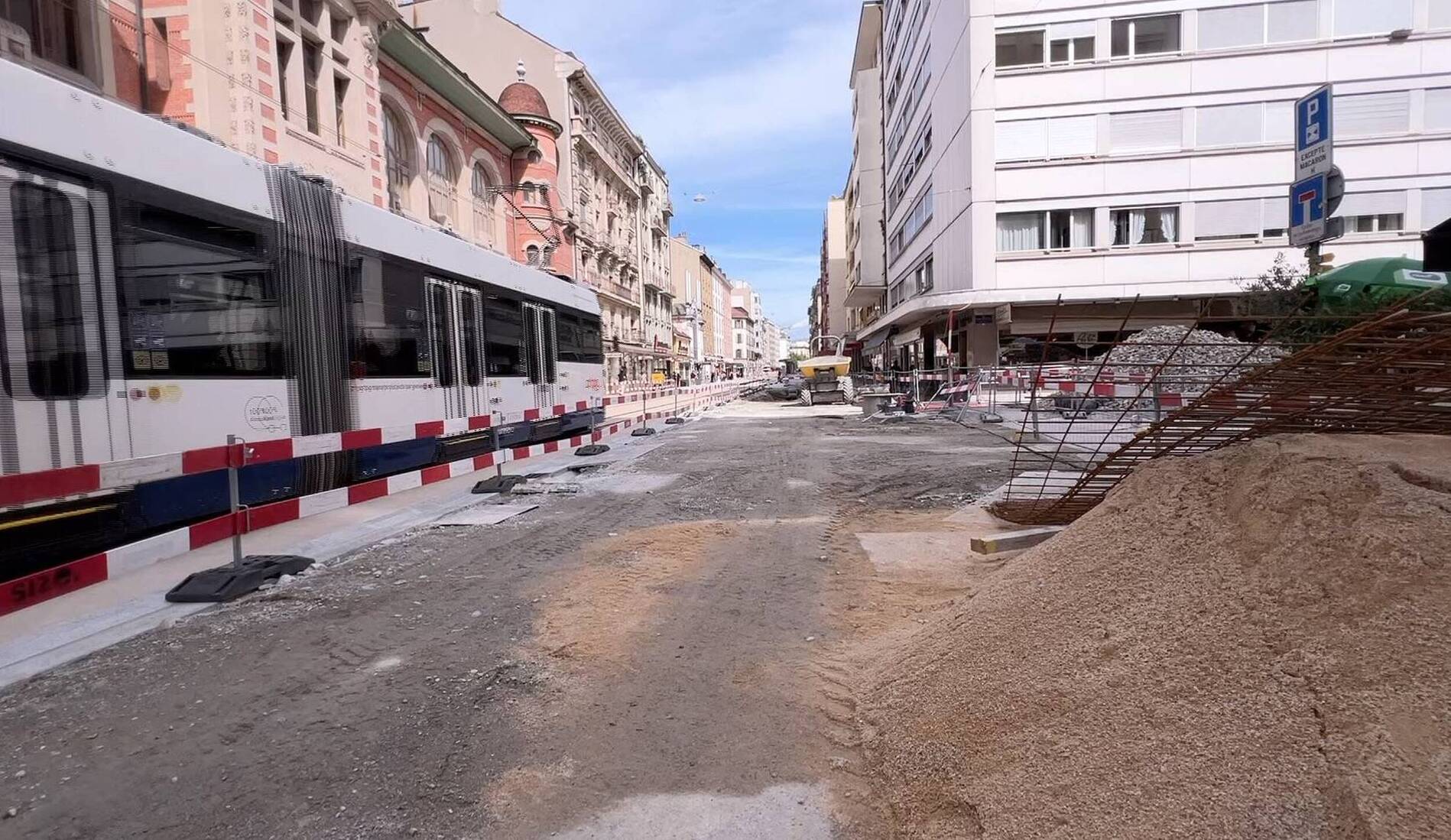 Interrogations au sujet des arbres de la rue de Carouge