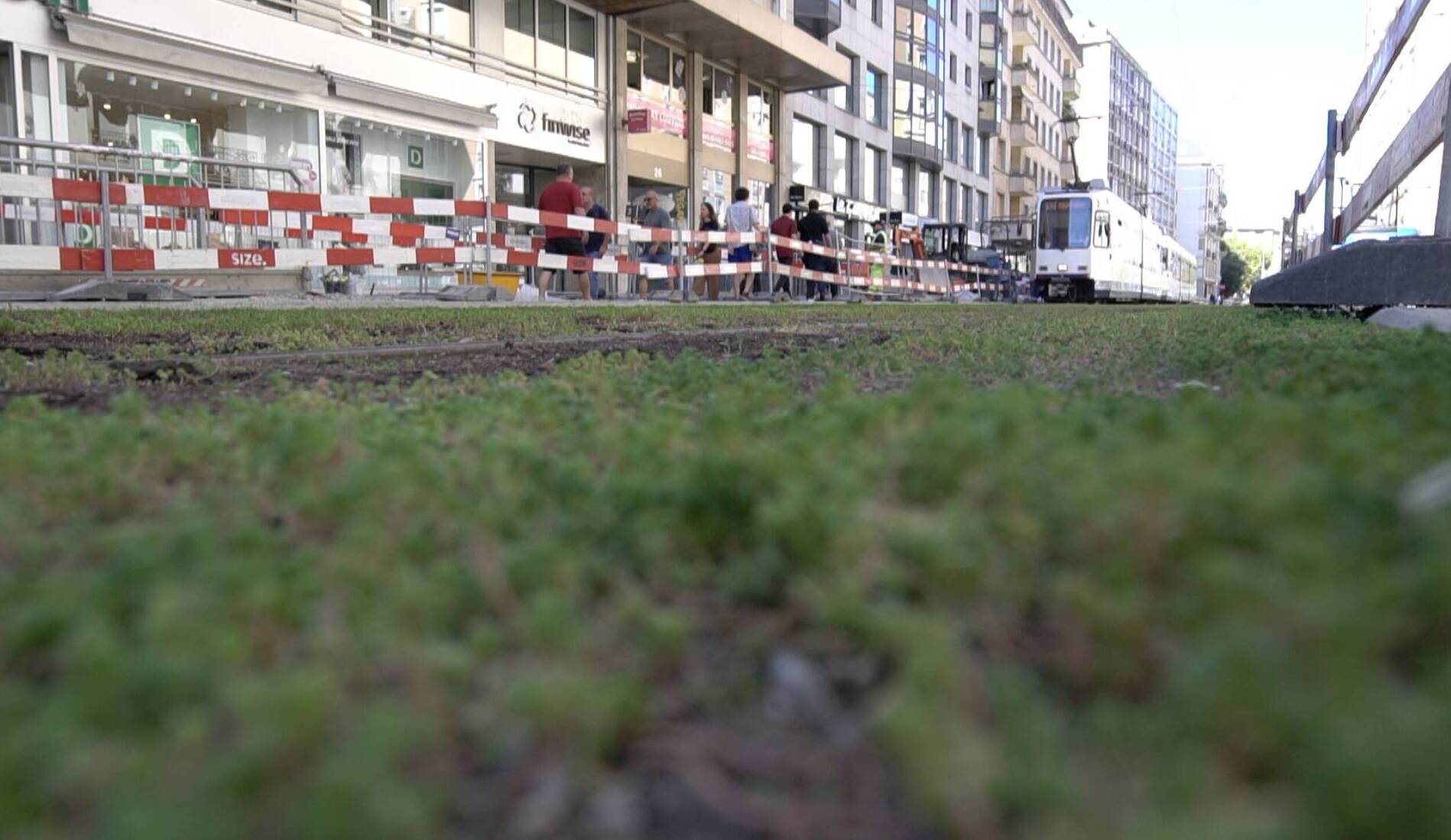 Rue de Carouge: le système d’indemnisation contesté