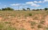 Zambie: une sécheresse « alarmante » et « déchirante », selon la directrice du PAM