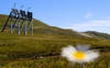 Levée de boucliers contre le parc solaire alpin de Grengiols (VS)