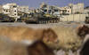 L'armée israélienne frappe à nouveau deux bases militaires en Syrie