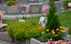 Initiative pour un jardin du souvenir pour les animaux domestiques