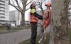 À Carouge, des faux humains et un rapace perchés dans les arbres contre les corbeaux