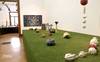 Mise au vert au Musée Ariana