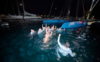Realteam Spirit remporte le 86e Bol d'Or