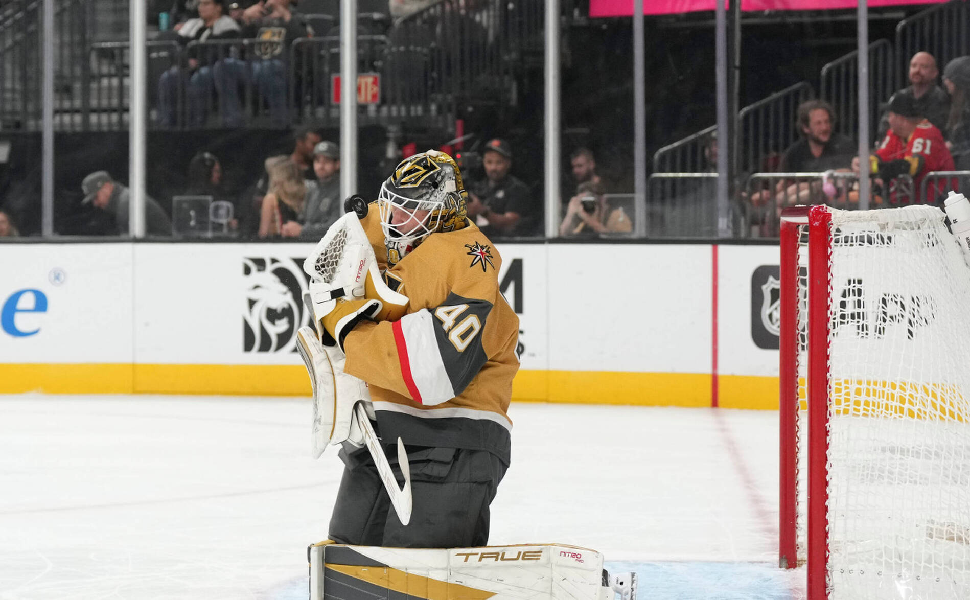 Vegas subit la loi des Ducks en prolongation