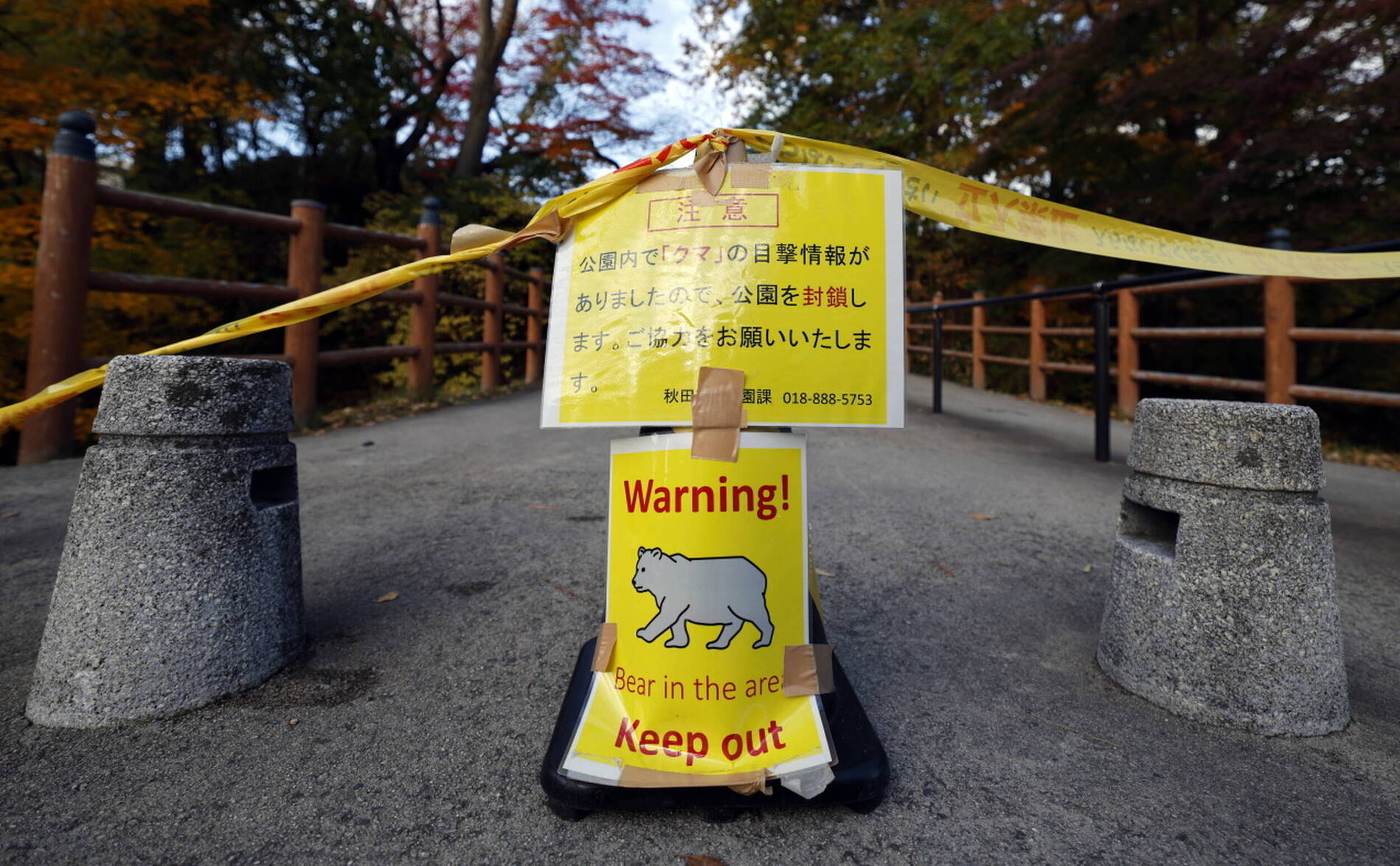 Les policiers japonais désormais autorisés à tirer sur des ours