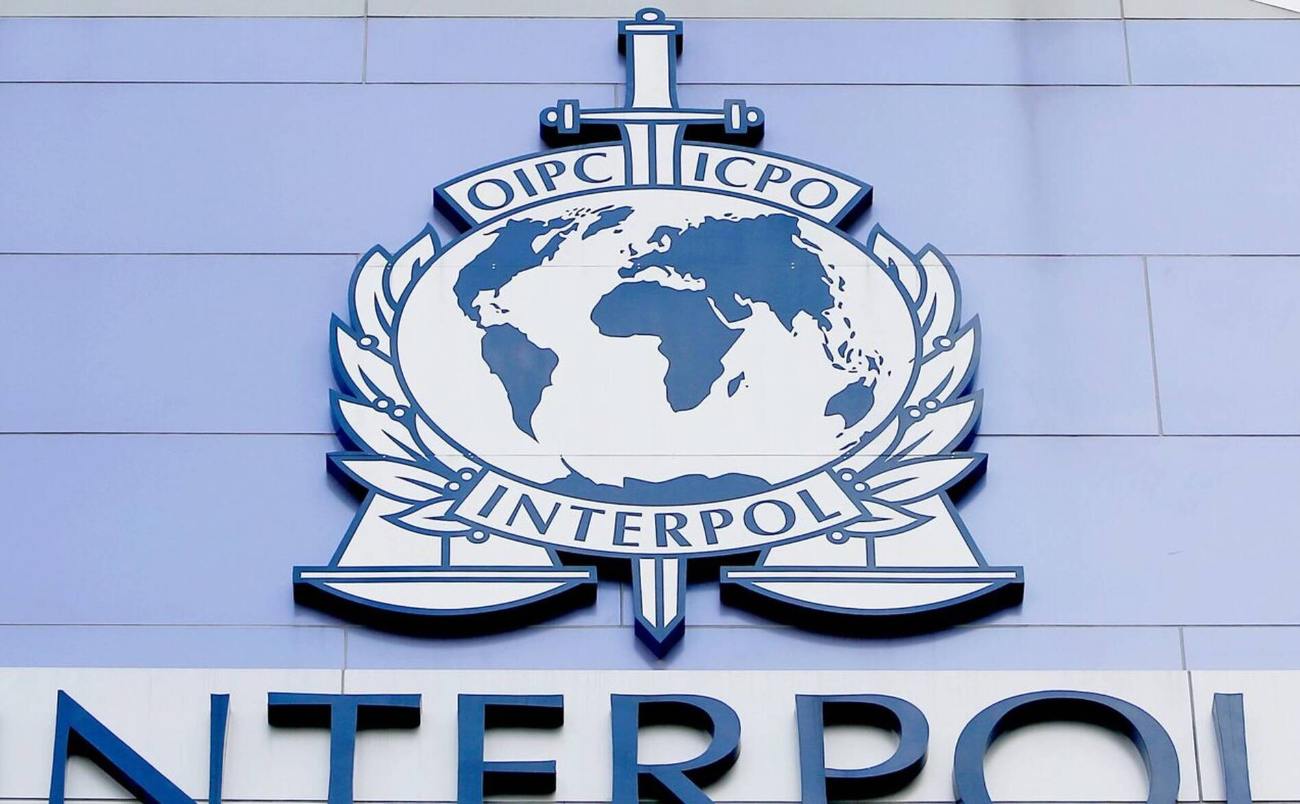 Le trafic d'animaux vivants a atteint de nouveaux records