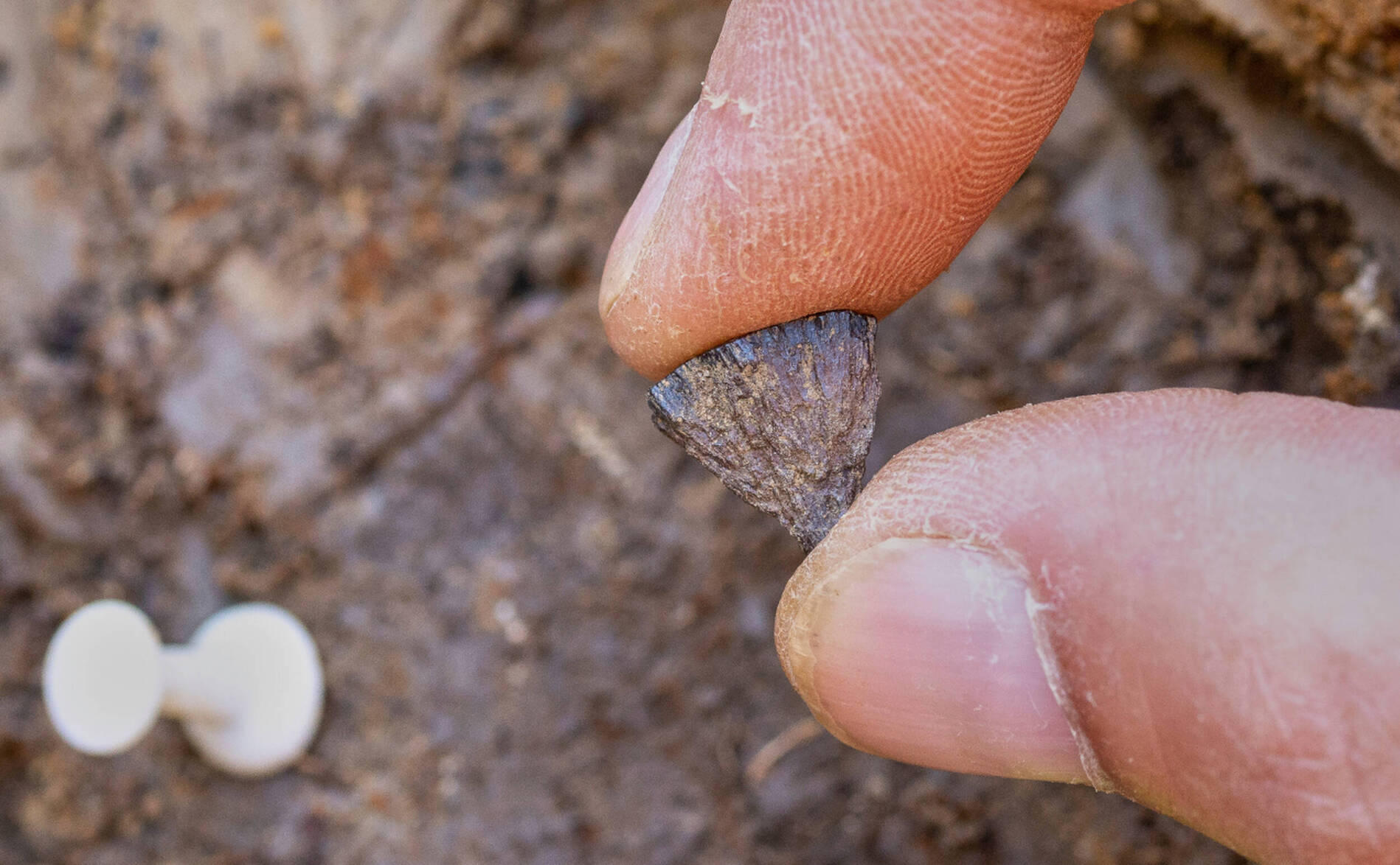 La plus ancienne preuve de maîtrise du feu trouvée au Royaume-Uni