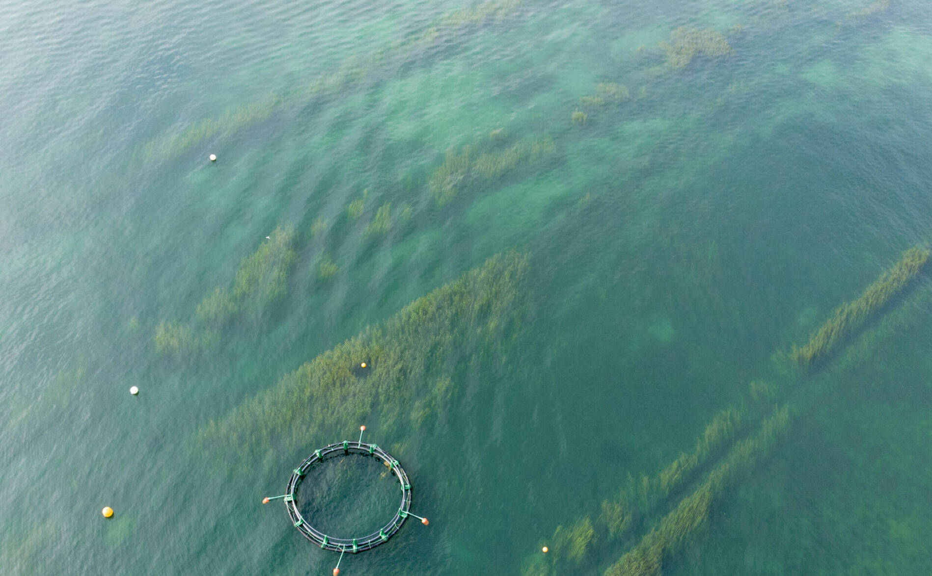 Le public pourra se confronter à la désertification dans le Léman