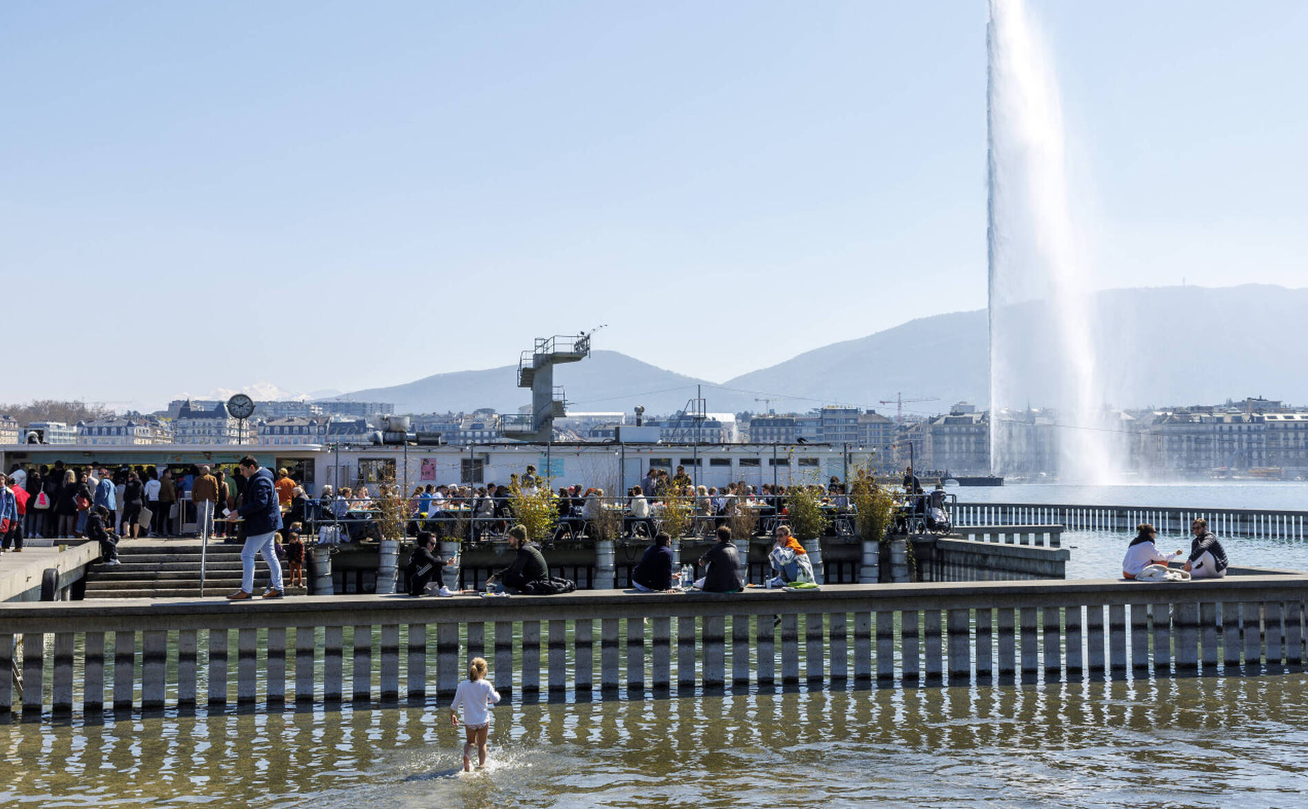Le regard du photographe Michel Roggo sur les milieux subaquatiques