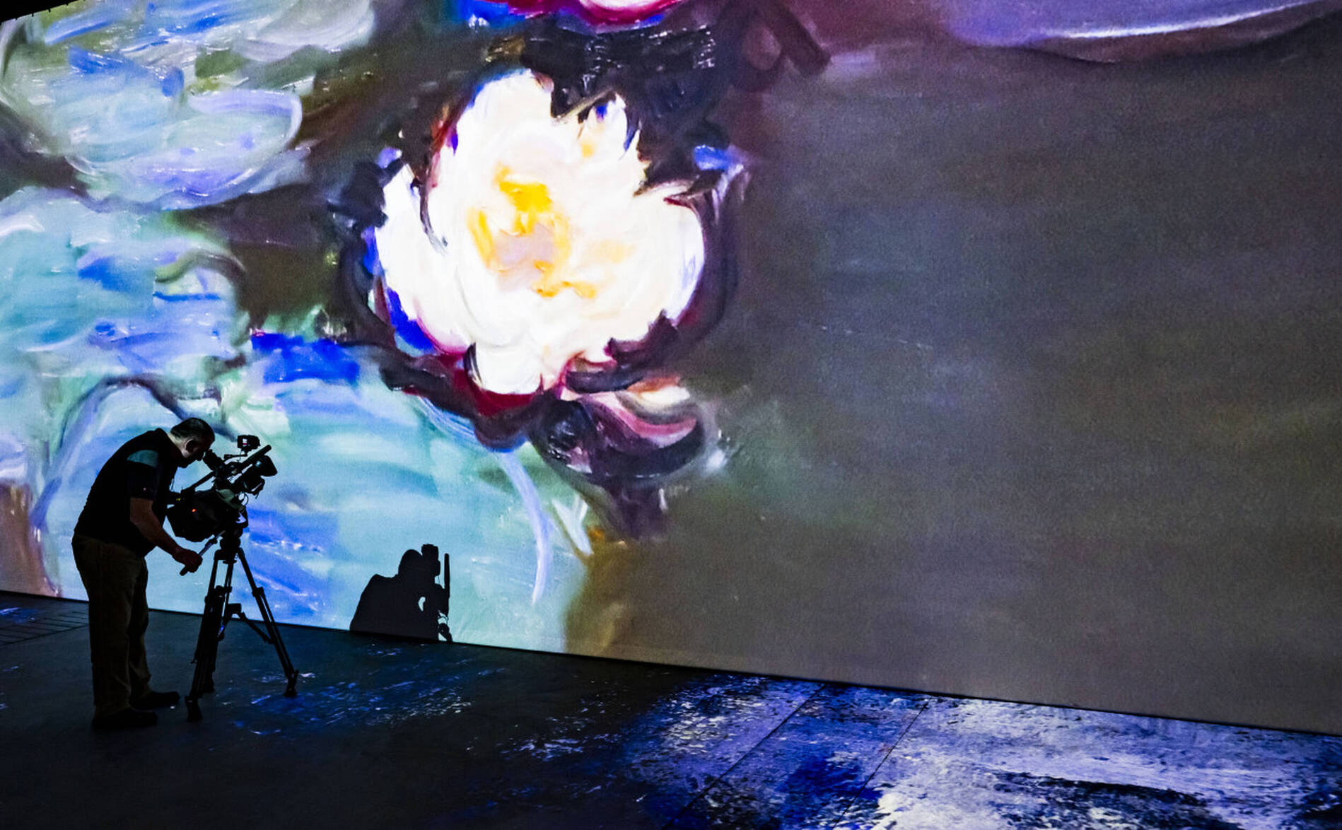 A Lausanne, les Nymphéas de Monet de la tête aux pieds à Beaulieu