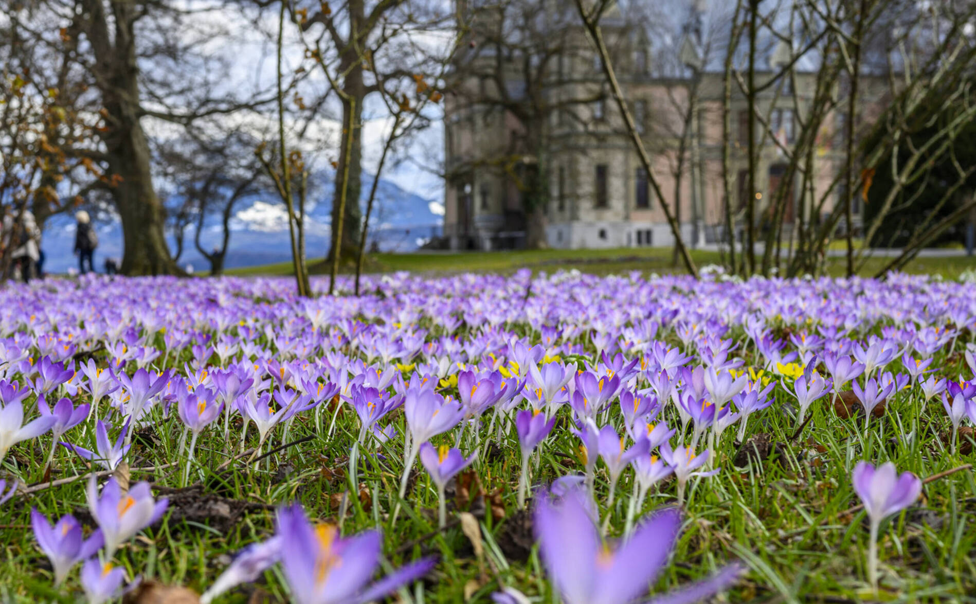 Le printemps commence toujours plus tôt