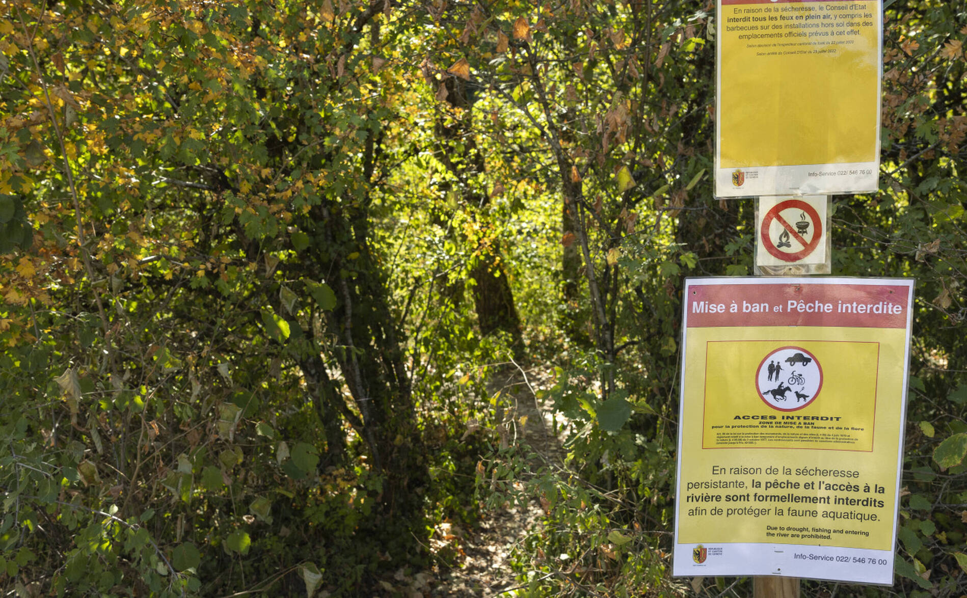 Le degré de la menace d'incendie en forêt passe à 4 sur 5 à Genève