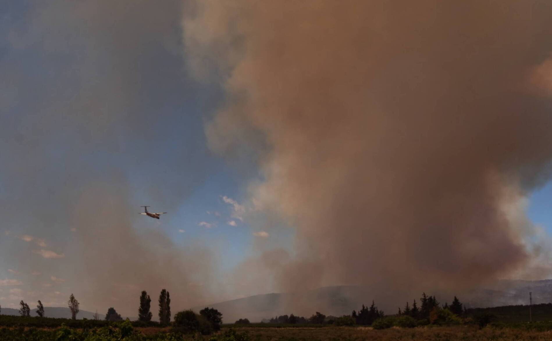 La canicule s'étend en France, 7800 hectares brûlés en huit jours