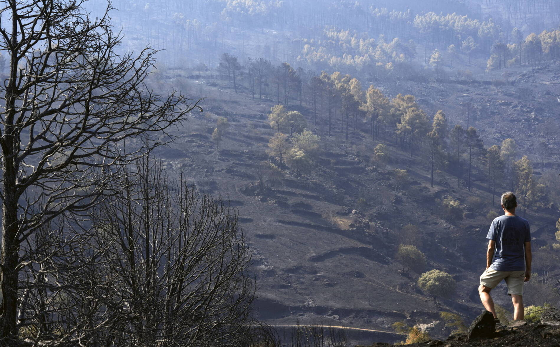 Incendies en Espagne: fin des évacuations pour la province d'Ávila