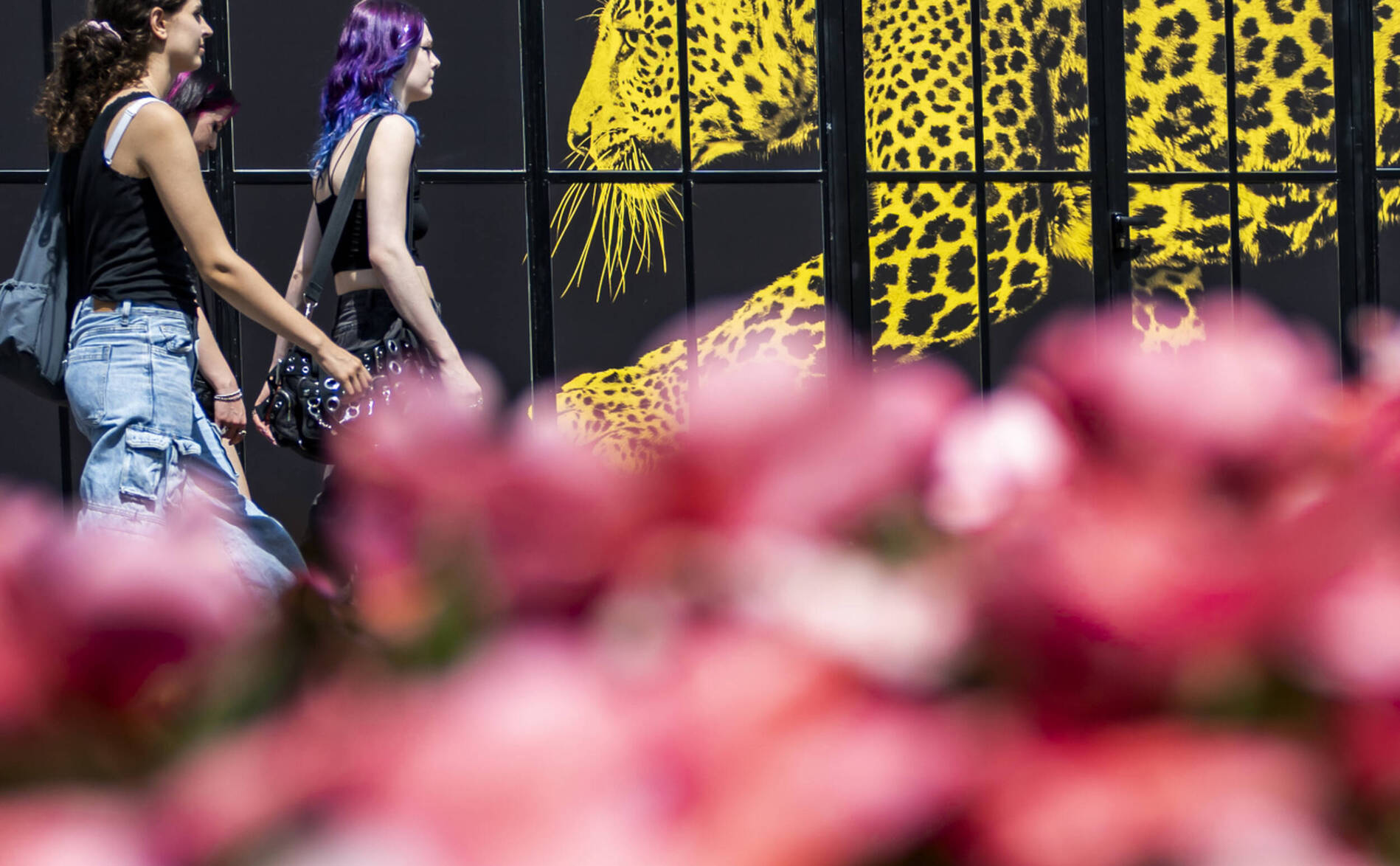 Isabella Rossellini illumine l’ouverture de Locarno