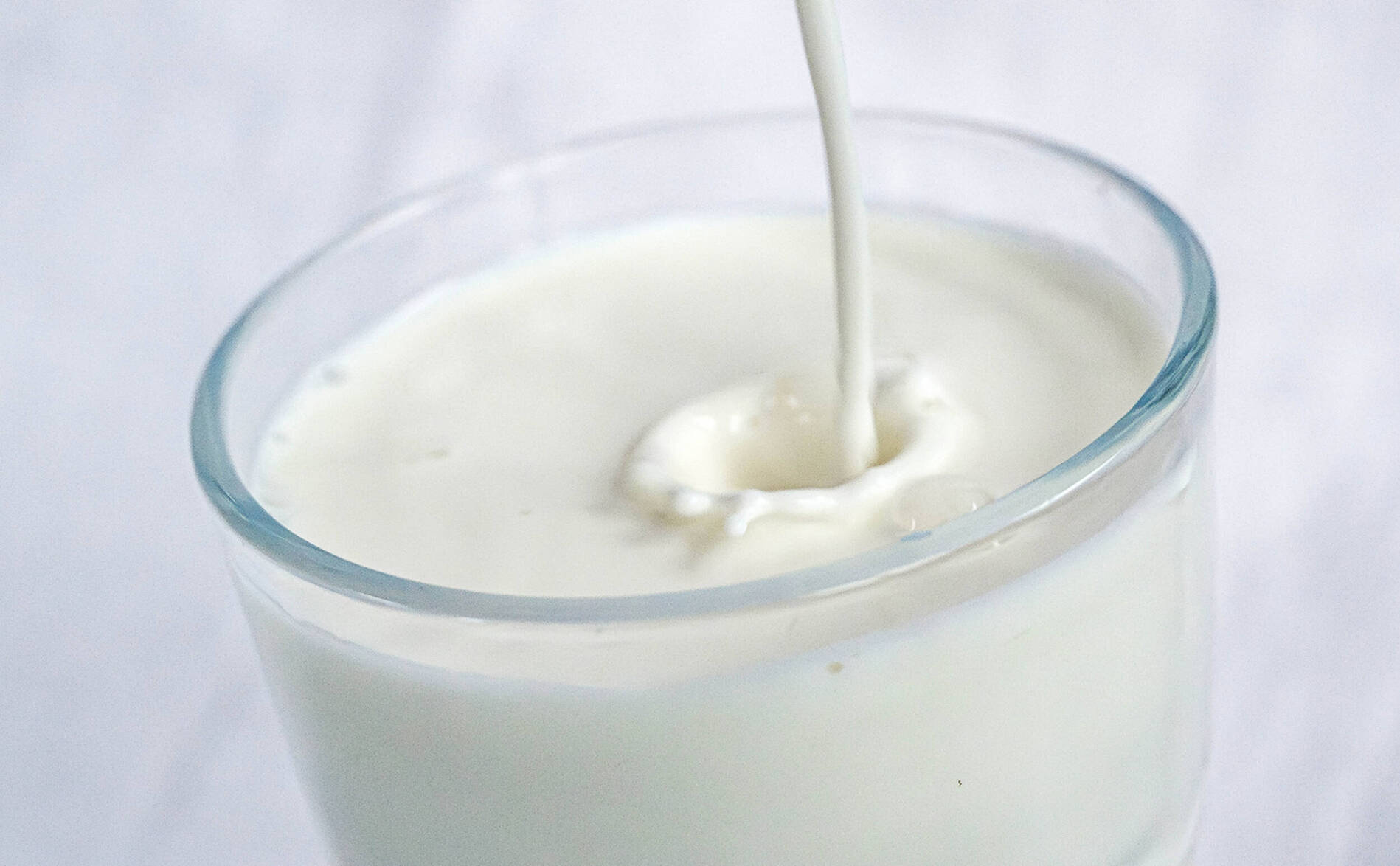 L'EPFL trouve des composés du caoutchouc dans du lait