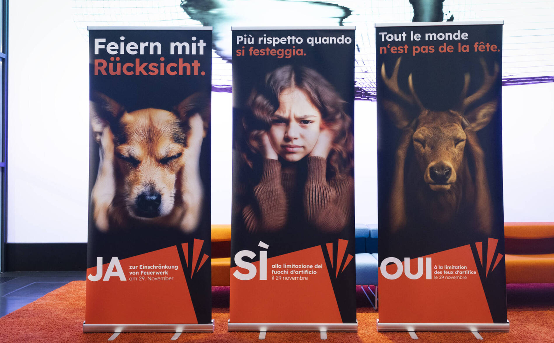 Les défenseurs des animaux veulent limiter les feux d'artifice