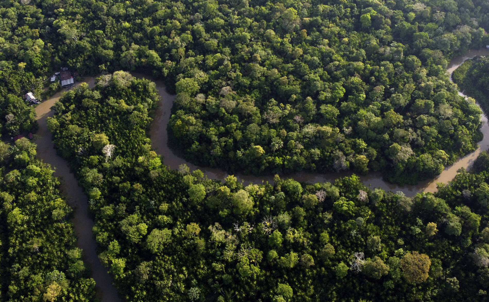 La déforestation en Amazonie au plus bas depuis 1988