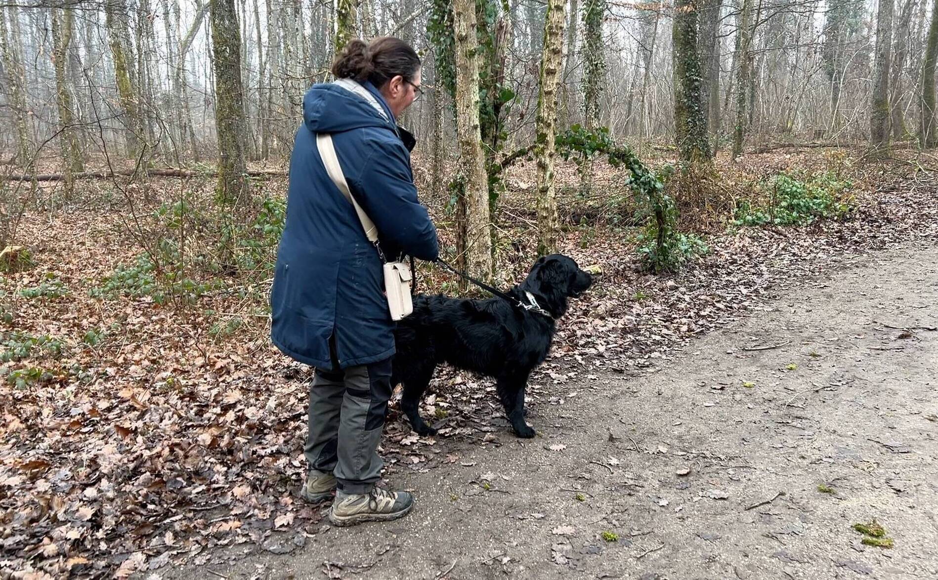 Même en hiver, les tiques restent actives