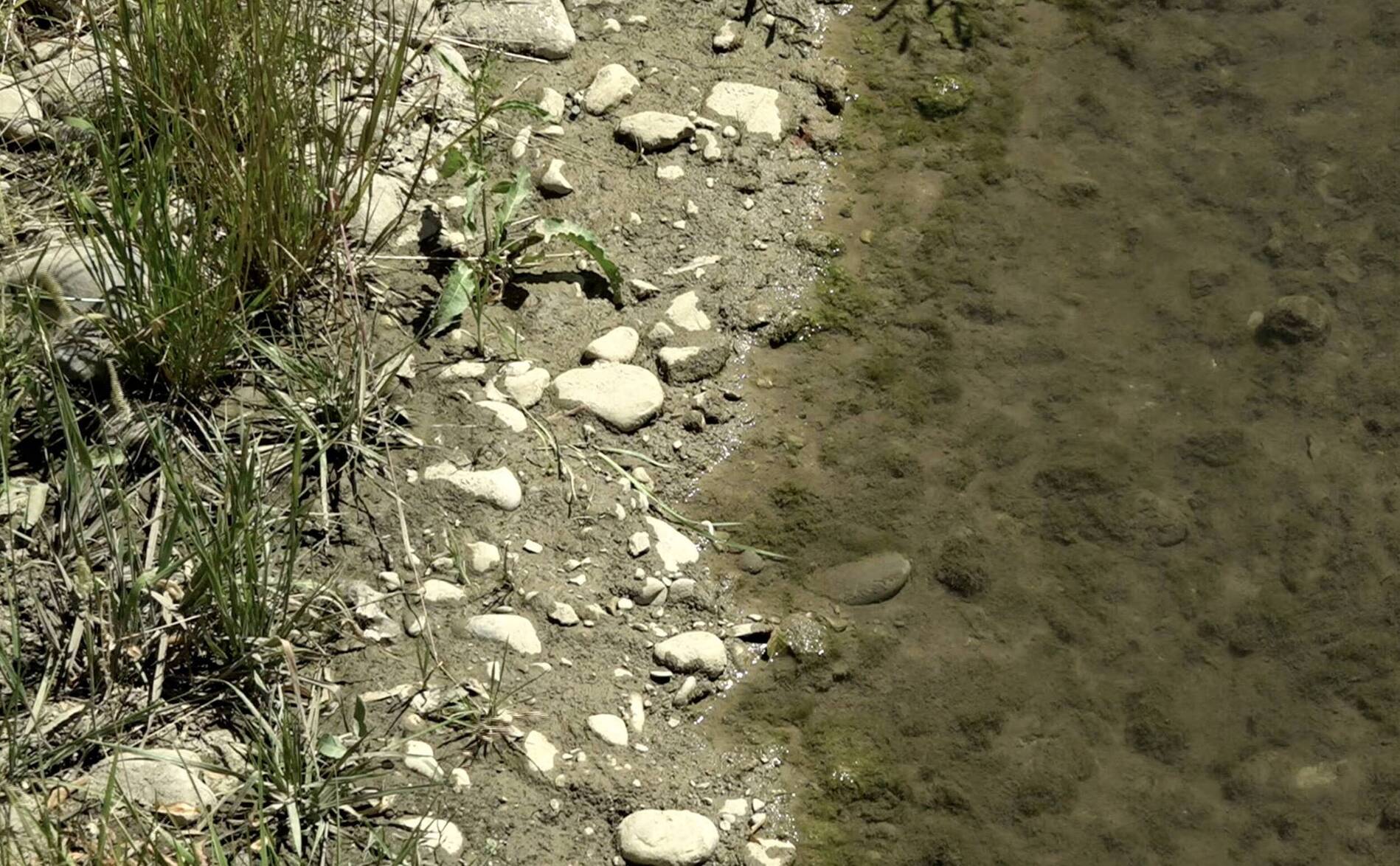 Sécheresse: la crainte d'un été meurtrier pour les cours d'eau genevois