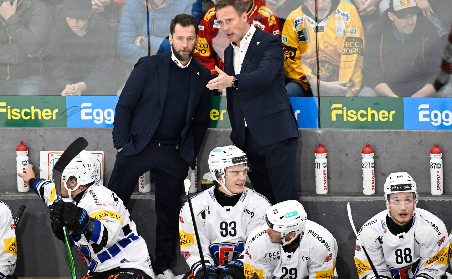 Langnau contre Fribourg-Gottéron: les buts du match