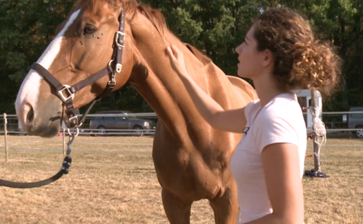Horse Mag