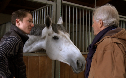 Horse Mag