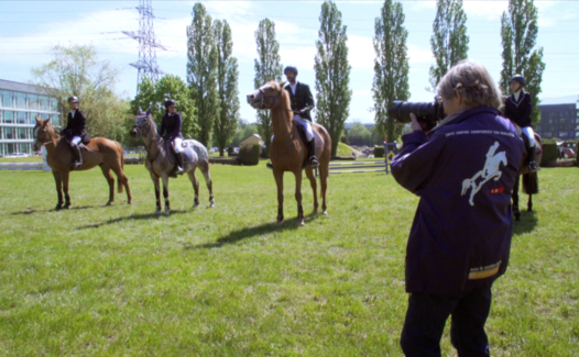 Horse Mag