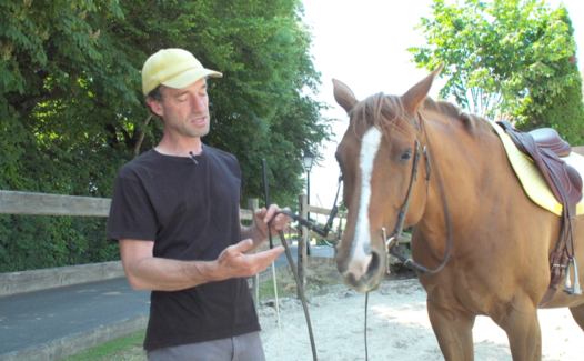 Horse Mag