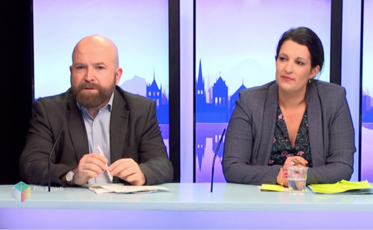 Pris à parti, Les Verts
