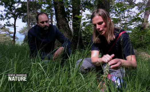 Genève Grandeur Nature