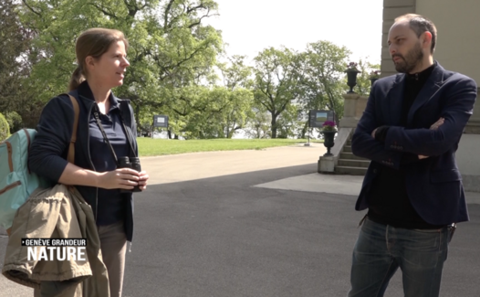 Genève Grandeur Nature