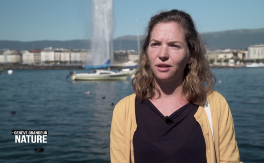 Genève Grandeur Nature