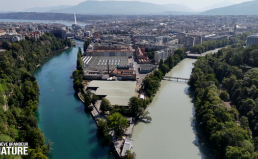 Genève Grandeur Nature