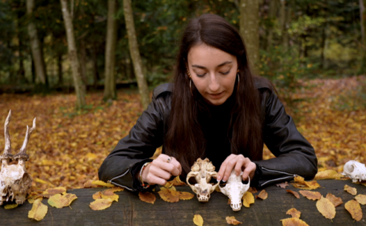 Genève Grandeur Nature