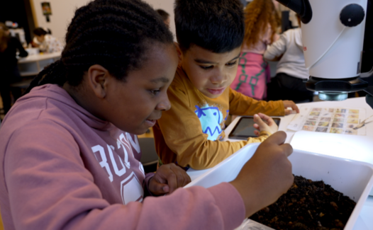 Genève Grandeur Nature