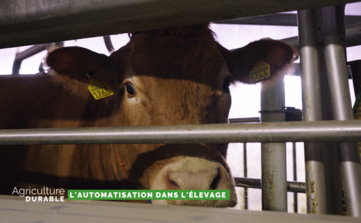 Agriculture Durable