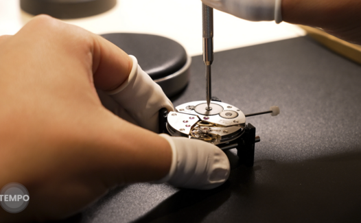 Tempo - Watches and Wonders #4