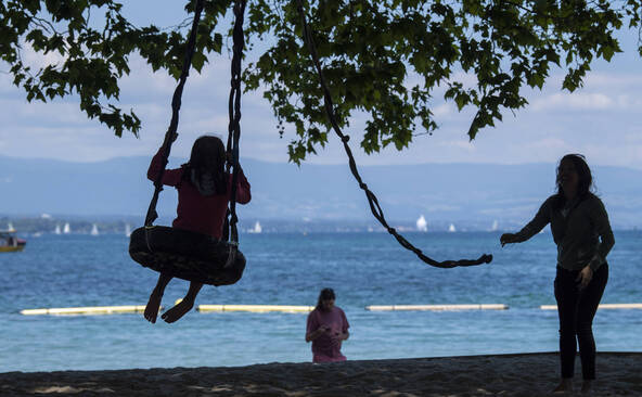 L'arbre central de Baby-Plage doit être abattu et les jeux retirés
