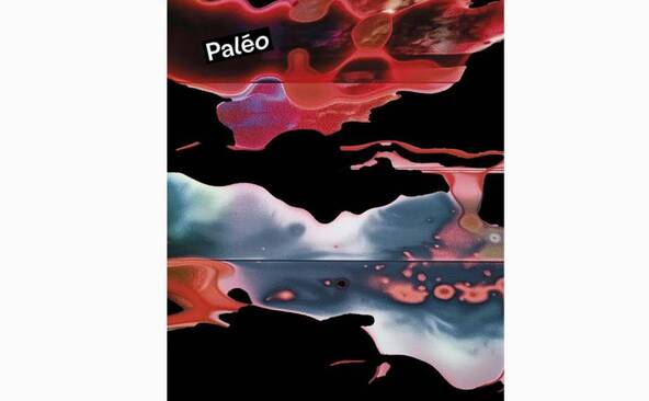 Paléo dévoile l'affiche « futuriste » de sa 49e édition