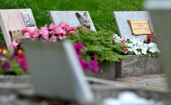 Echec de l'initiative pour un jardin du souvenir pour les animaux