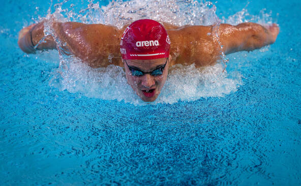 100 m papillon: Ponti en demi-finale aux Européens de Lublin