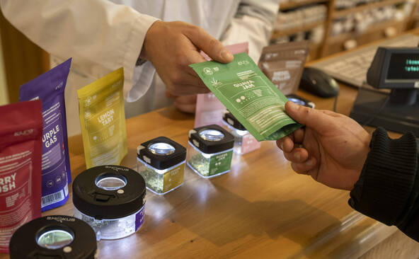 La légalisation du cannabis divise les esprits en Suisse