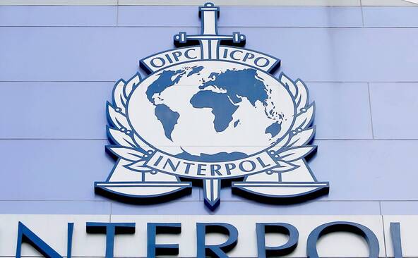 Le trafic d'animaux vivants a atteint de nouveaux records