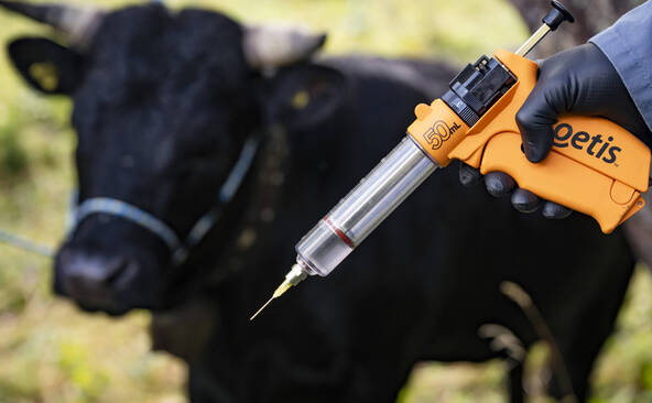 France: agriculteurs mécontents de la stratégie face à la DNC