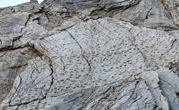 « Immense » ensemble d'empreintes de dinosaures découvert en Italie